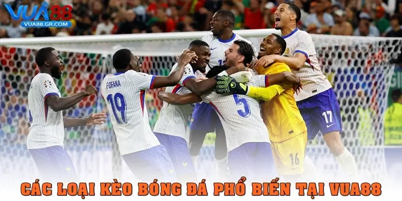 Kèo bóng đá – Cách đọc và soi kèo hiệu quả cùng Vua88 Các loại kèo bóng đá phổ biến tại Vua88
