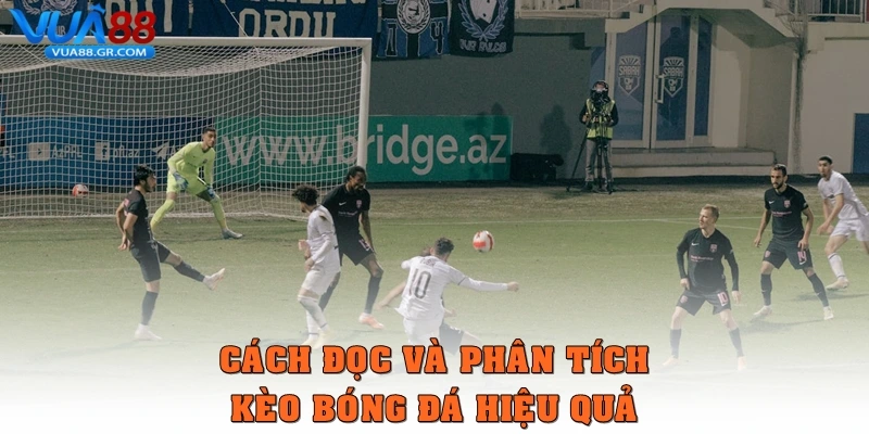 Kèo bóng đá – Cách đọc và soi kèo hiệu quả cùng Vua88 Cách đọc và phân tích kèo bóng đá hiệu quả