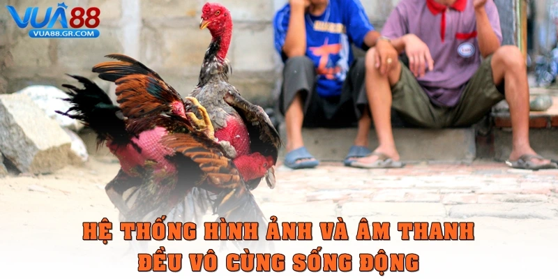 Đá Gà Cựa Dao Bộ Môn Dễ Tham Gia, Kịch Tính Và An Toàn Hệ thống hình ảnh và âm thanh ở hệ thống đều vô cùng sống động