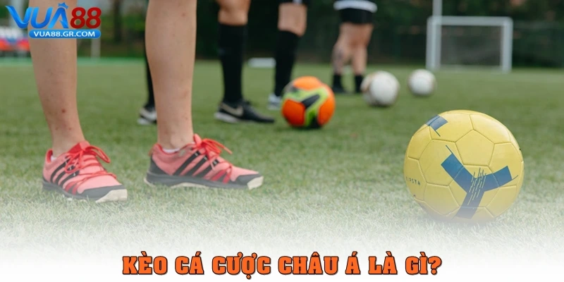 Kèo cá cược châu Á – Cách chinh phục tiền thưởng Vua88 Kèo cá cược châu Á là gì?