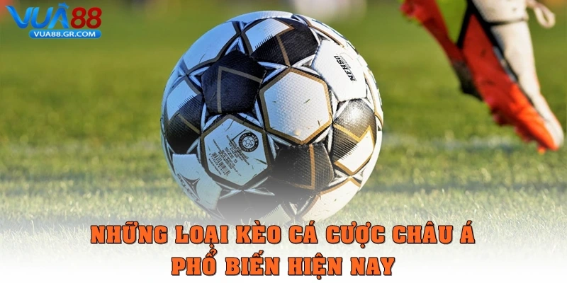 Kèo cá cược châu Á – Cách chinh phục tiền thưởng Vua88 Những loại kèo cá cược châu Á phổ biến hiện nay