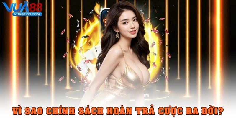 Hoàn trả cược là gì? Cách hoạt động và lợi ích cho người chơi Vì sao chính sách hoàn trả cược ra đời?